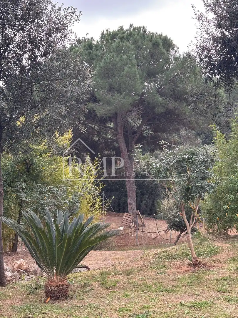Rural land for sale in verder s/n, imagen 28