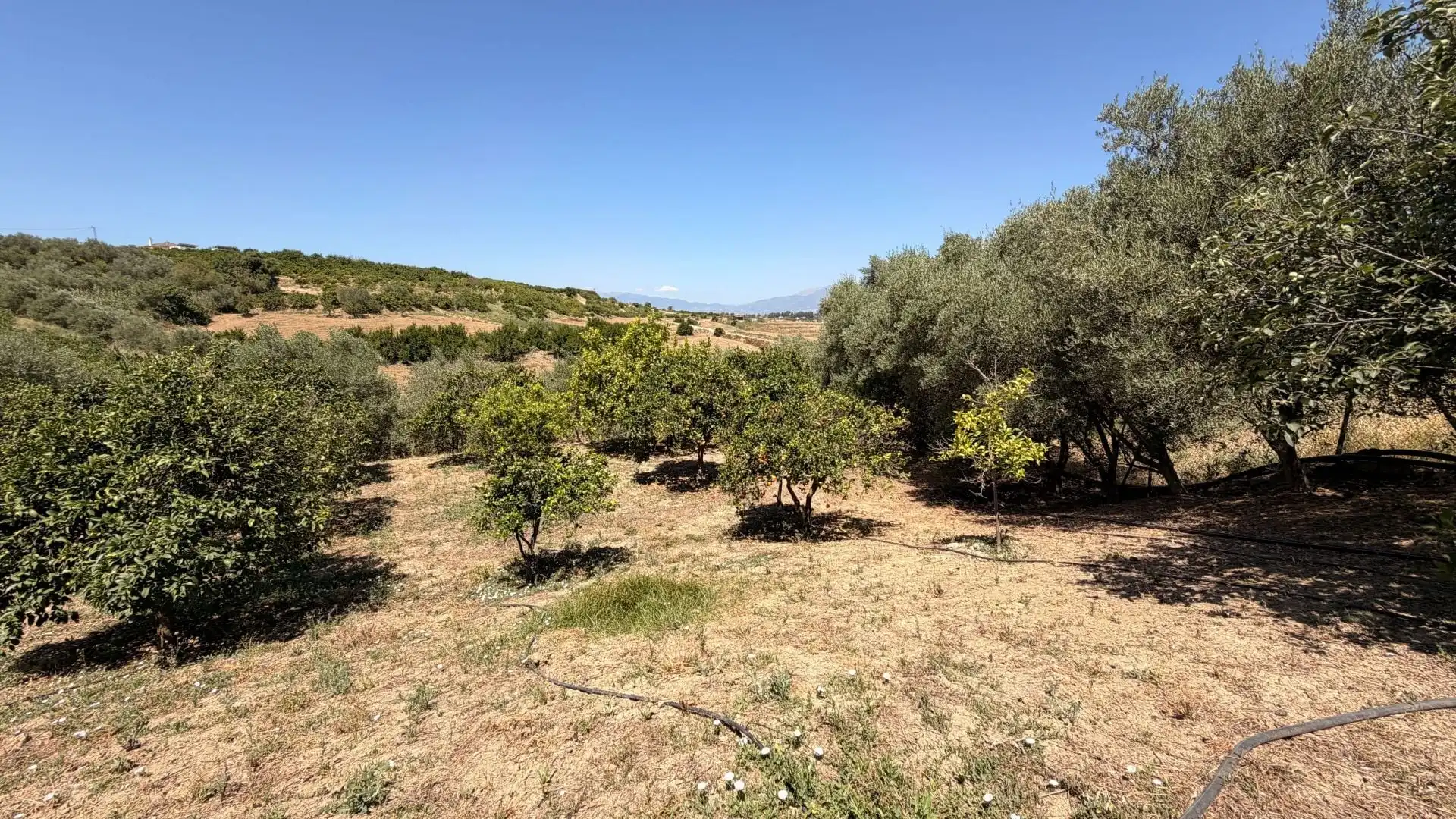 Finca rústica en venta en Centro