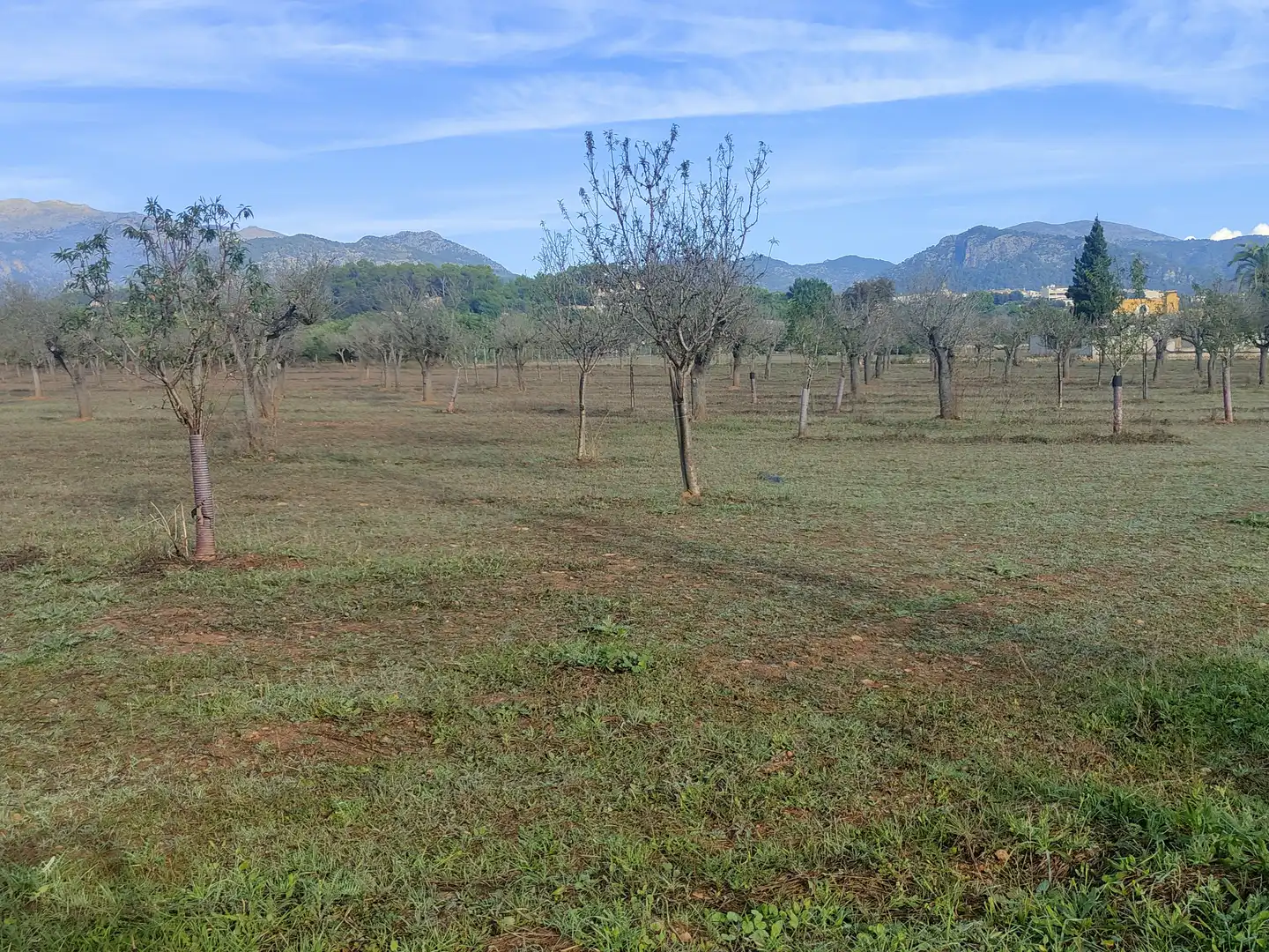 Terrain rustique à vendre à Camí Moscari 26, imagen 9