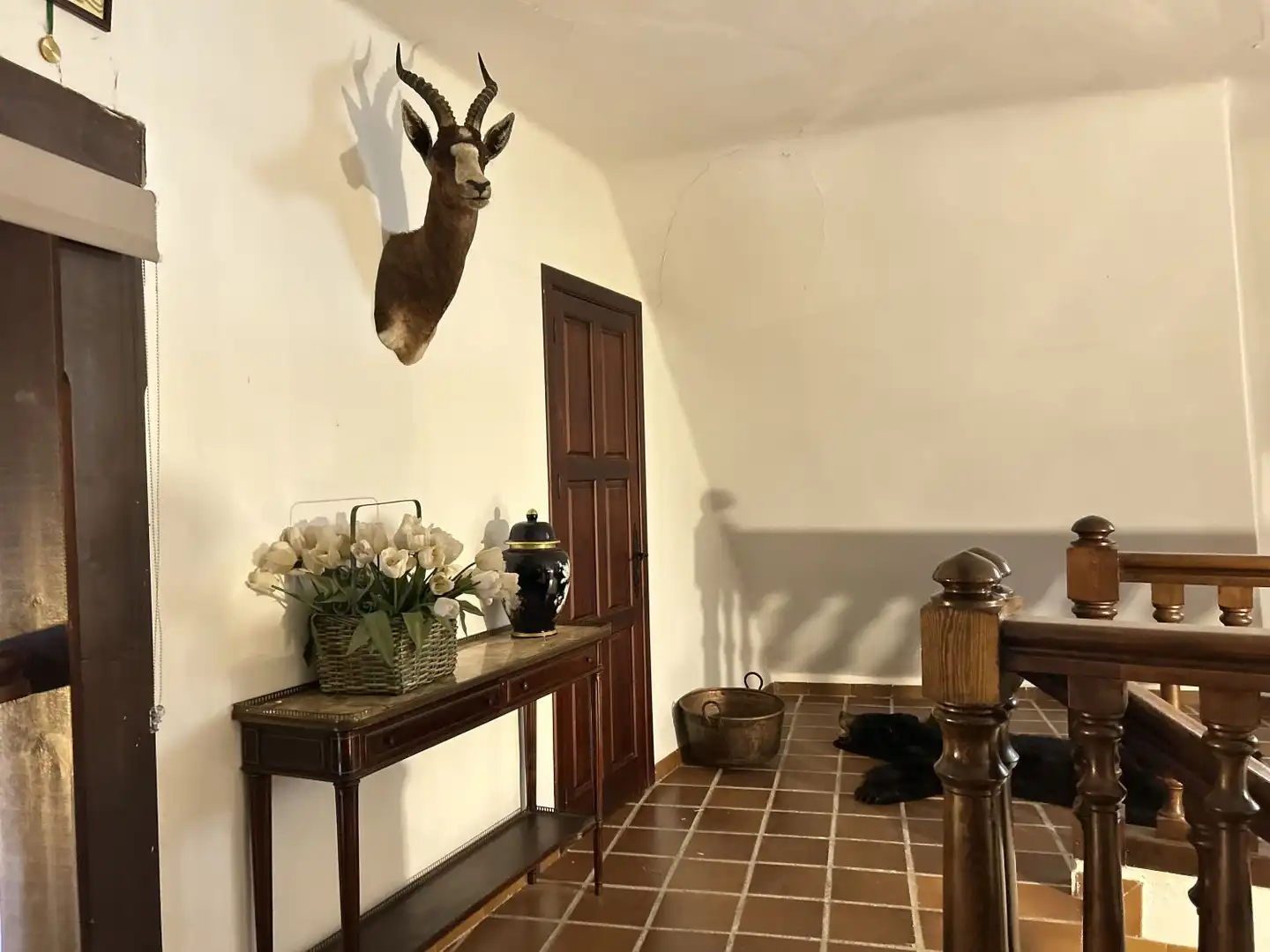 Casa o xalet en venda en Albacete amb Aire condicionat, Calefacció i Terrassa