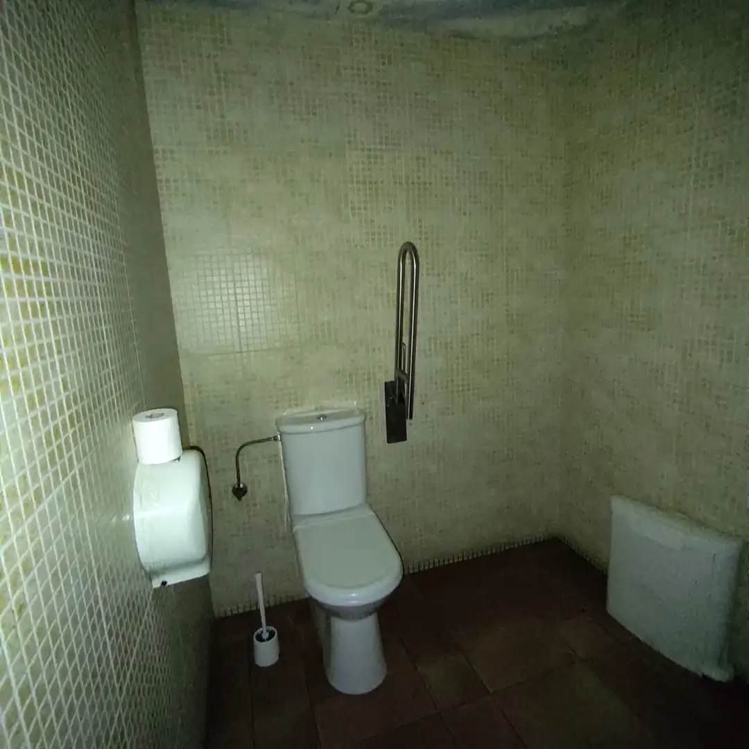 Bany de Local en venda en Zaldibar