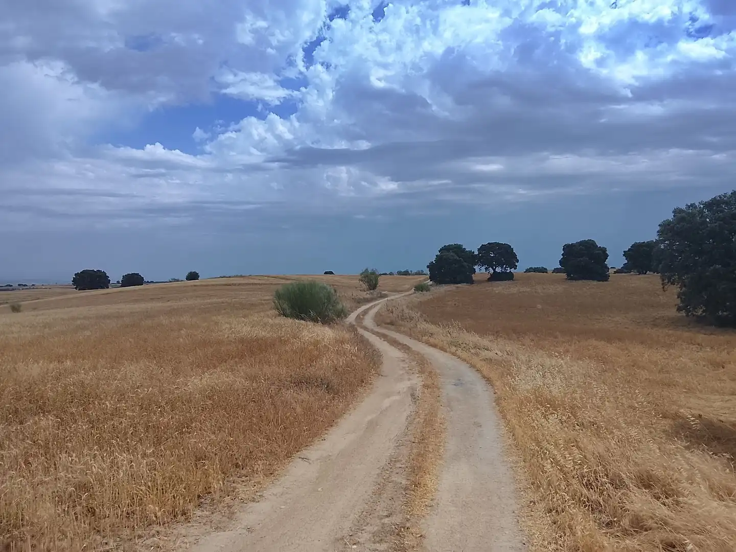 Terreno rustico in vendita a Quijorna, imagen 7