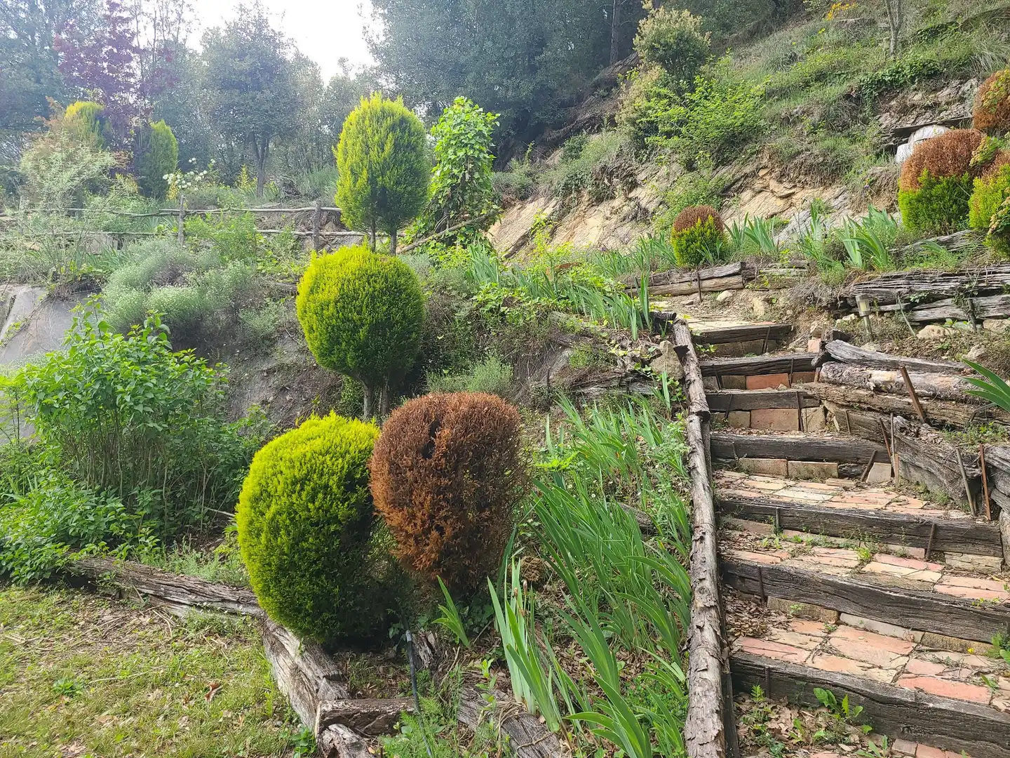Casa rústica amb jardí en venda a olot, imagen 45