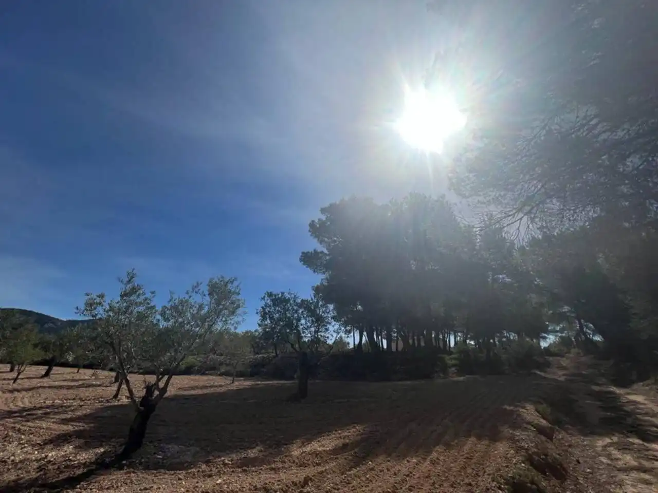 Chalet con jardín en venta en Calle Poligono, imagen 117