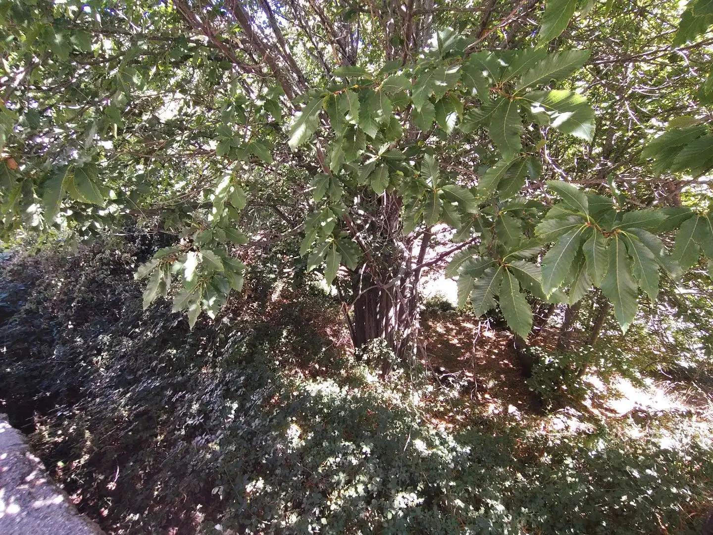 Residencial en venta en Casillas