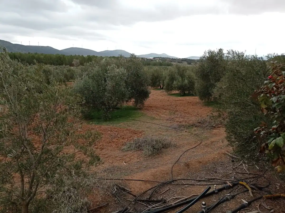 Casa rústica amb piscina en venda a Valdepeñas, imagen 4
