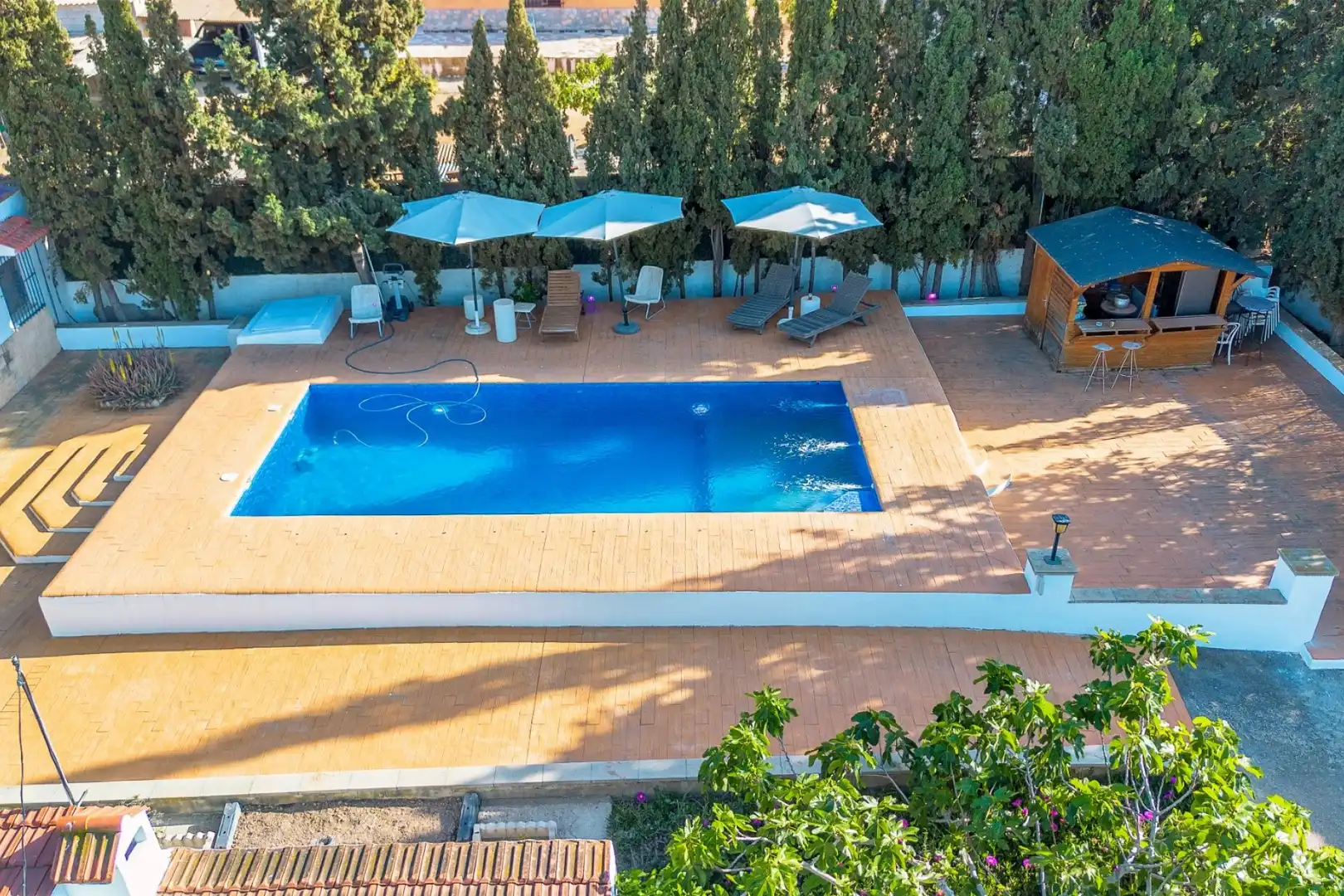 Schwimmbecken von Haus oder Chalet zum Verkauf in Alicante / Alacant mit Schwimmbad