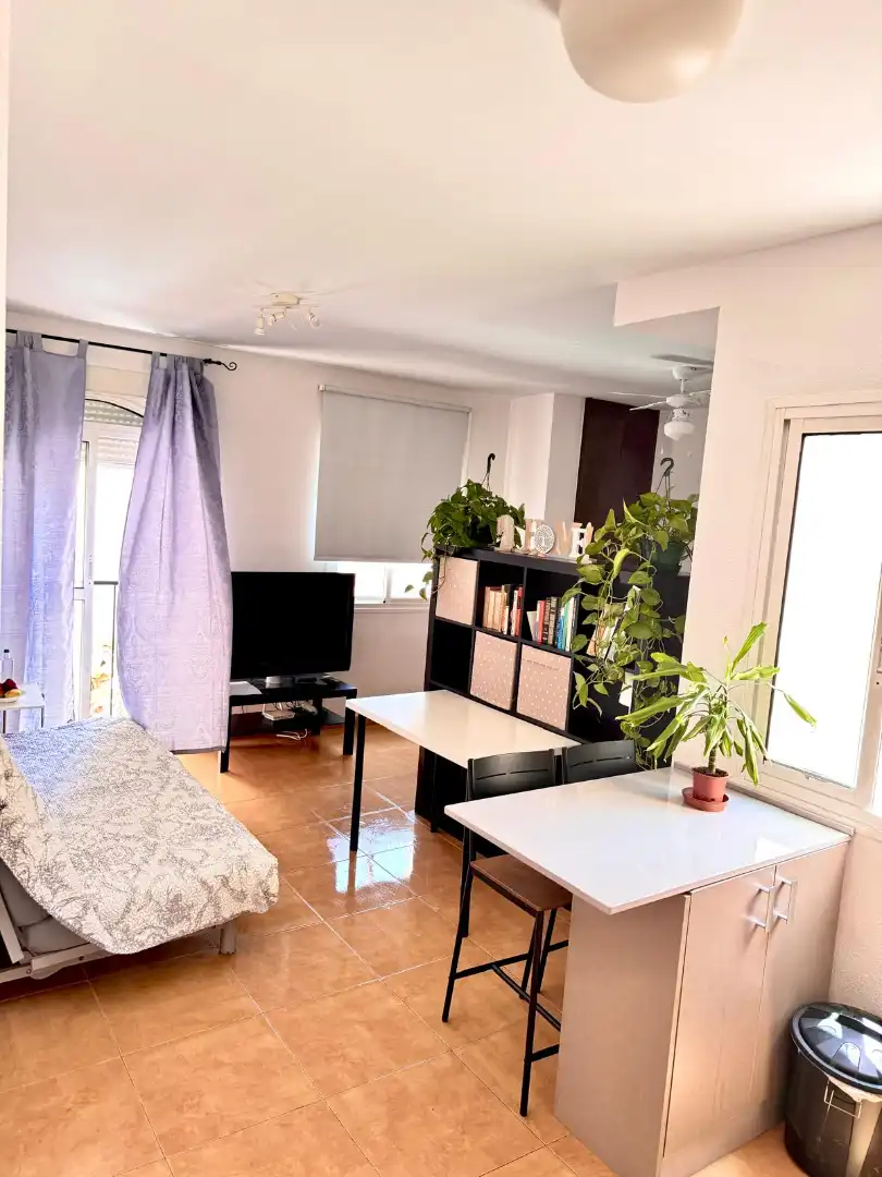 Sala d'estar de Estudi en venda en Málaga amb Terrassa i Moblat