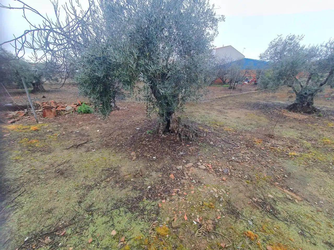 Lands and plots for sale in Mirandilla, imagen 4