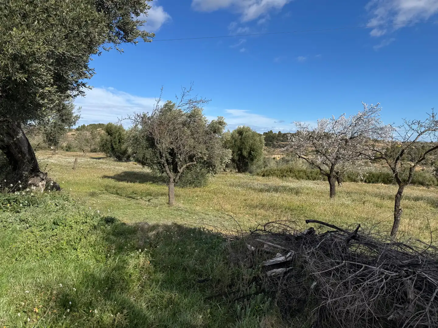 Terreni e lotti in vendita a Valjunquera, imagen 13