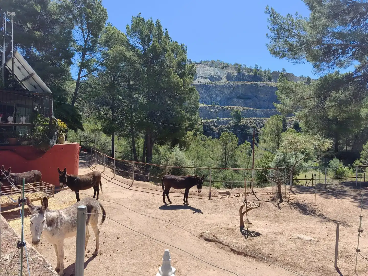 Finca rústica en venda a Orxeta