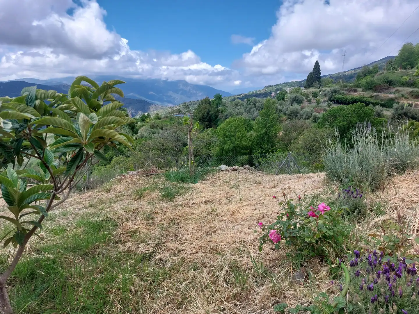 Land for sale in Pórtugos
