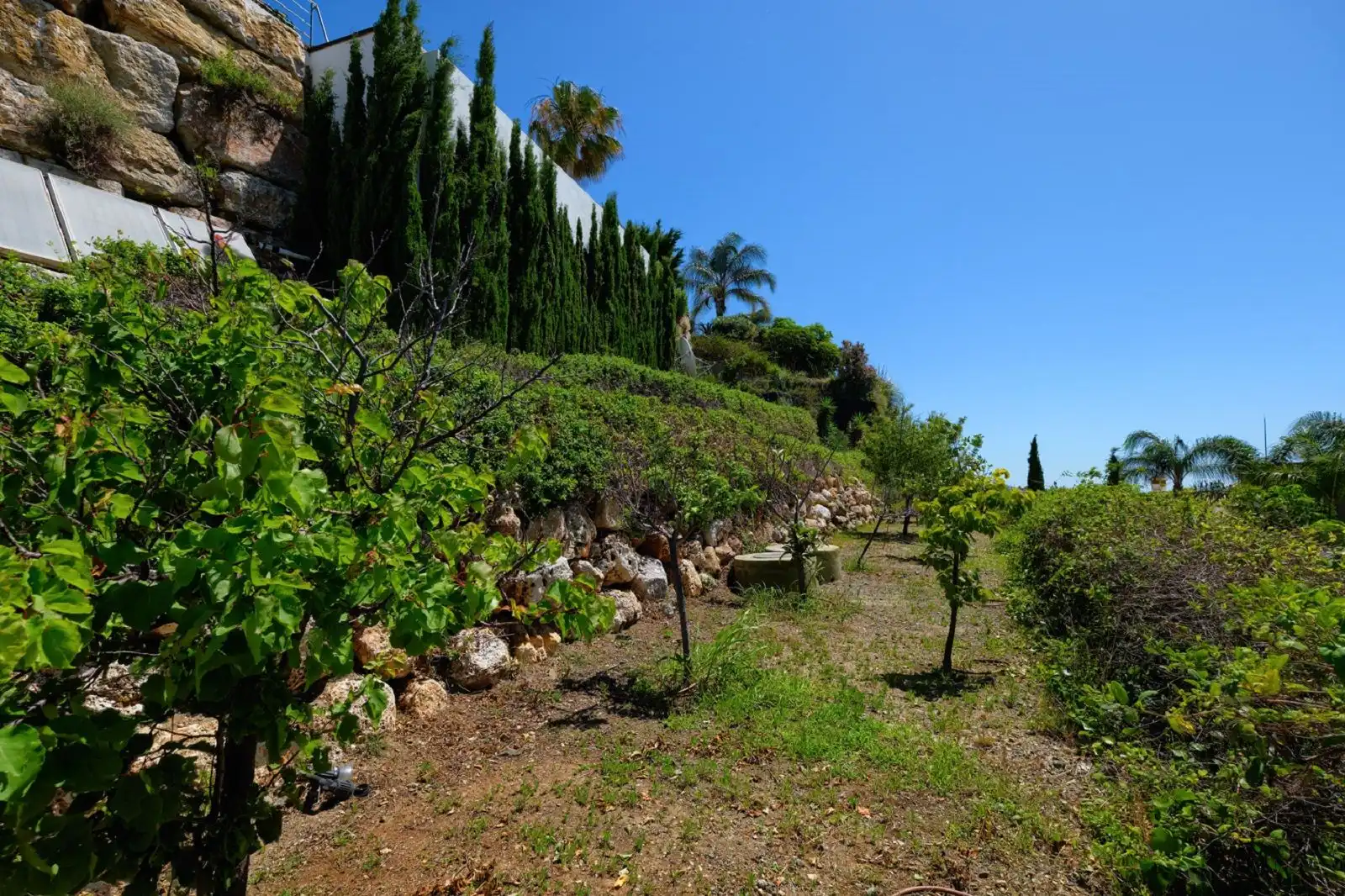 Villa con terrazza in vendita a Los Flamingos, imagen 42