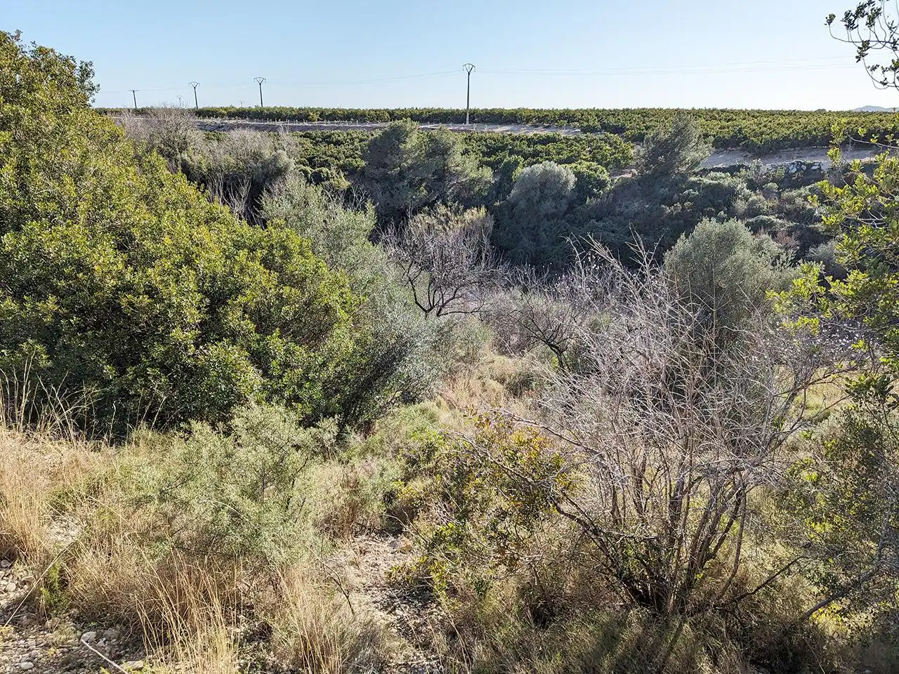 Terrenys i solars en venda a Abeuradors, imagen 11