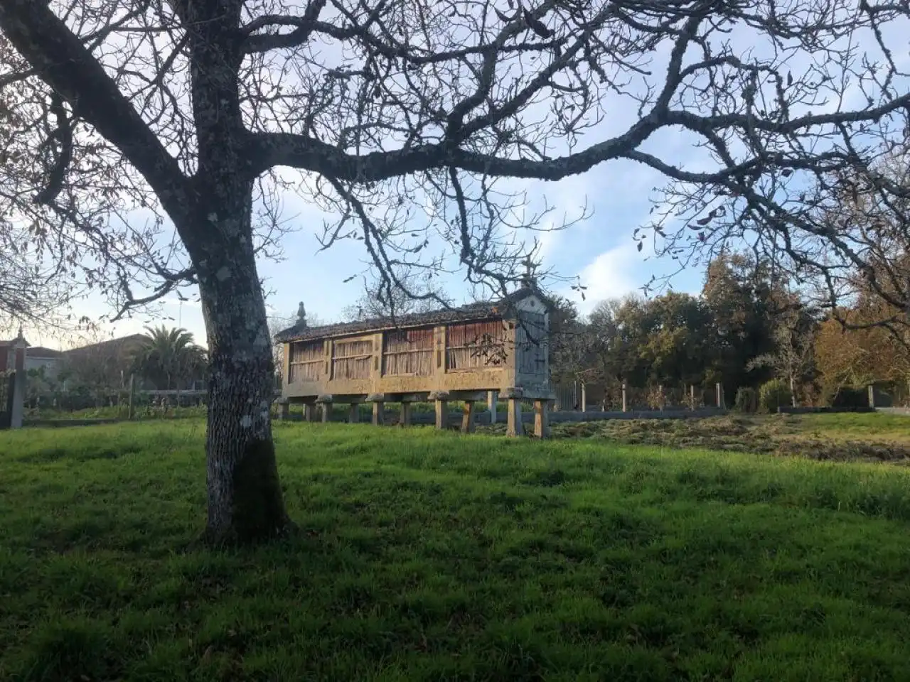 House with garden for sale in O Pereiro de Aguiar, imagen 17
