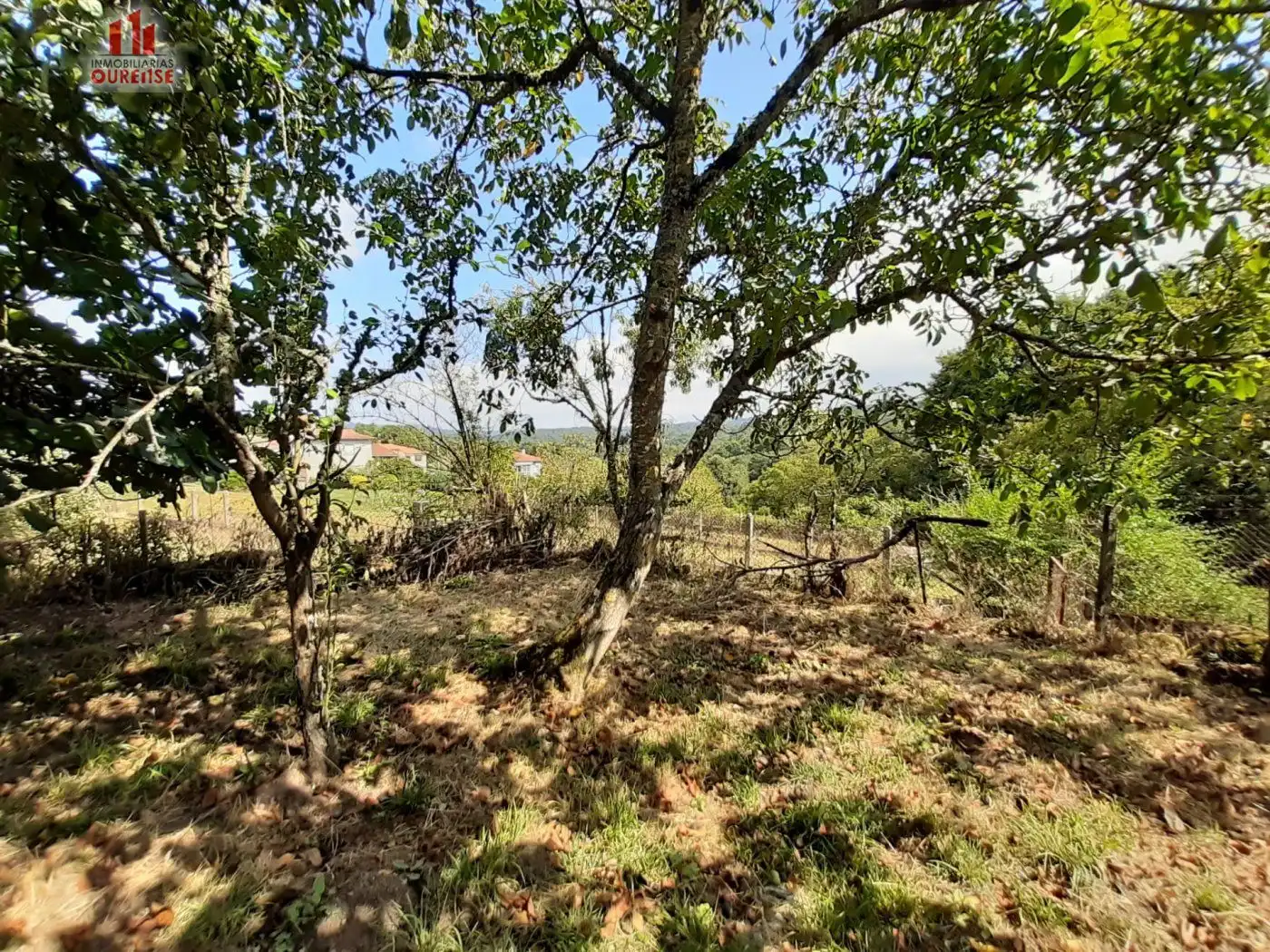 Casa en venda a O Pereiro de Aguiar, imagen 7
