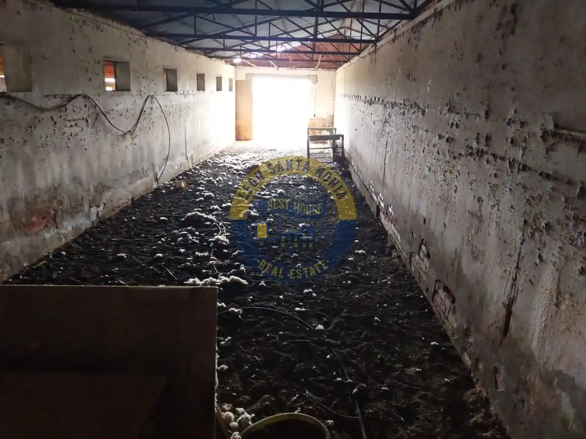 Nau industrial en venda a Valverde de la Virgen, imagen 7