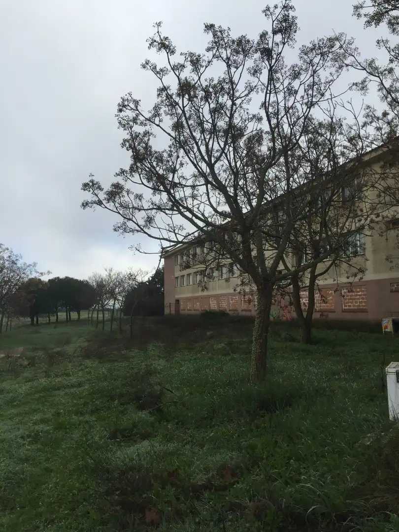 Edificio en venta en Estación Arroyo Malpartida