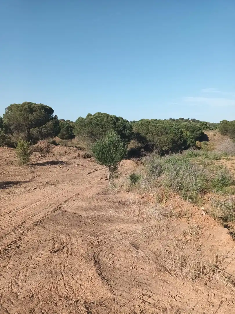 Lands and plots for sale in Calle PUENTE ESURI, imagen 3