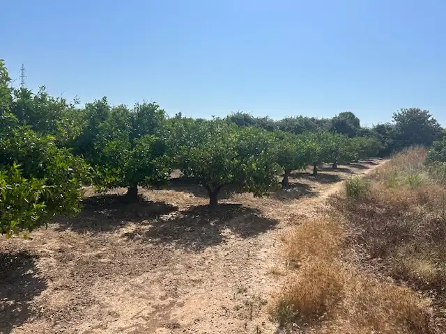 Rural land for sale in Carrer del Pou, imagen 7