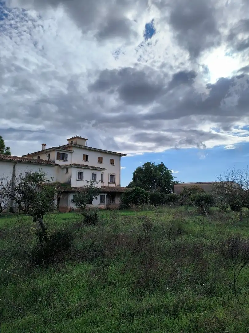 Vista exterior de Finca rústica en venta en Inca