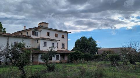 Photo 4 of Country homes for sale in Ma-3240, Zona Periurbana, Inca