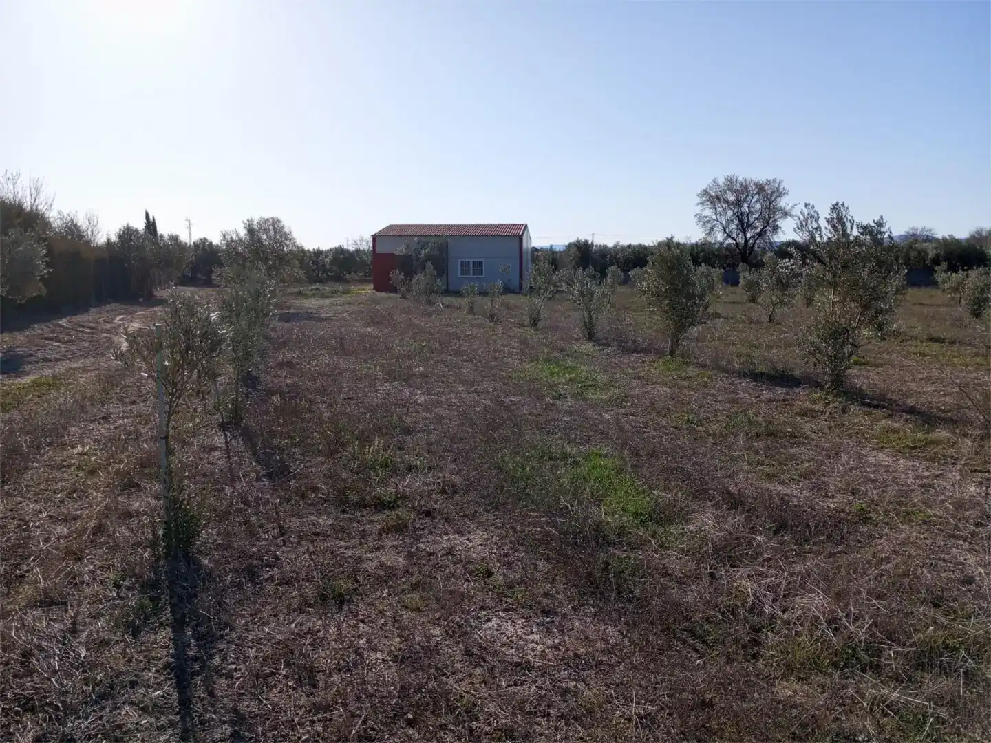 Casa o chalet en venta en Baza