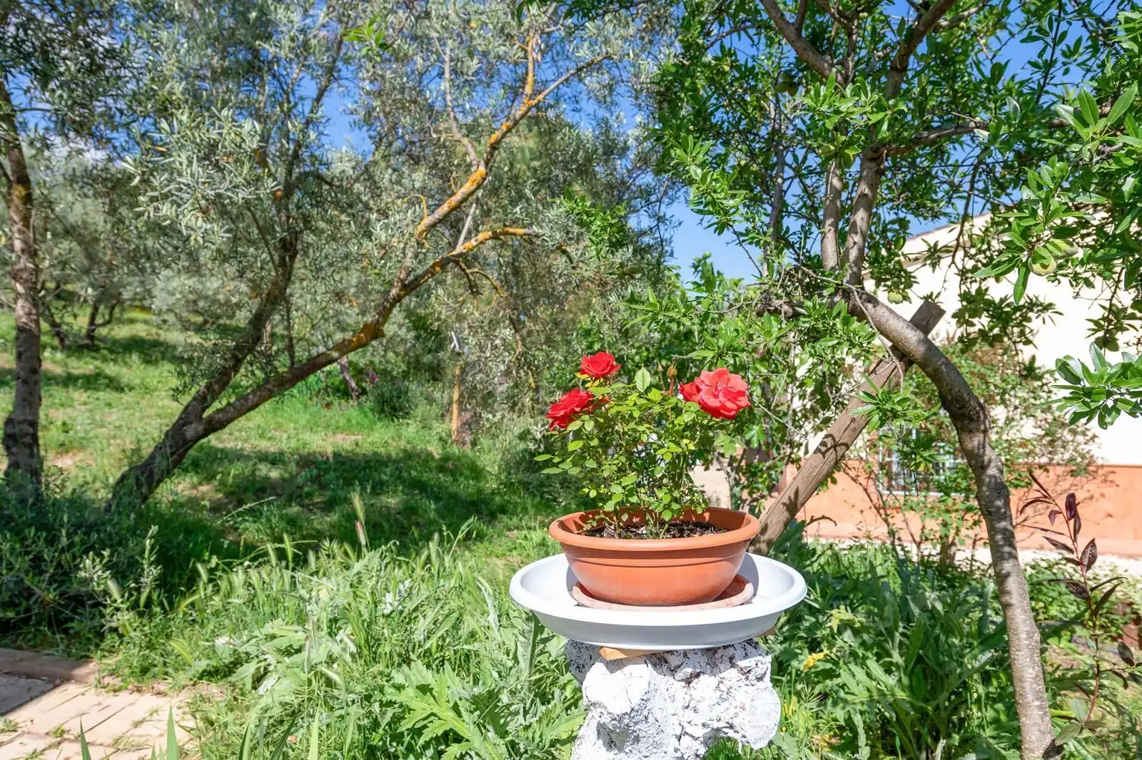 Casa rústica con jardín en venta en Villanueva del Trabuco