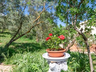 Casa rústica amb jardí en venda a Villanueva del Trabuco