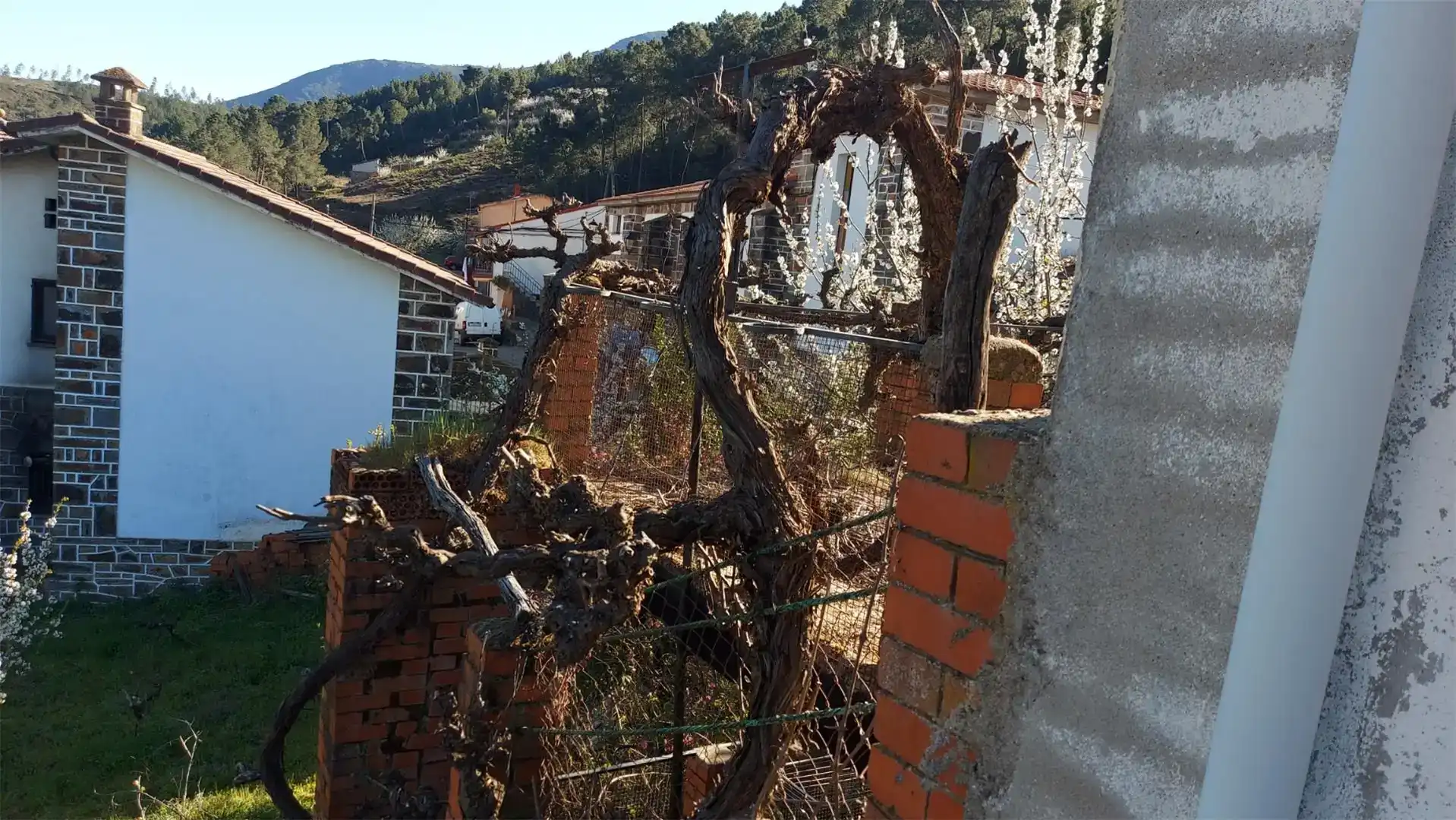 Piso en venta en Pinofranqueado, Cáceres