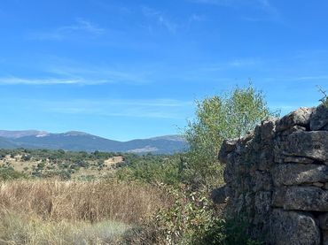 Terreno rustico in vendita a Cenicientos