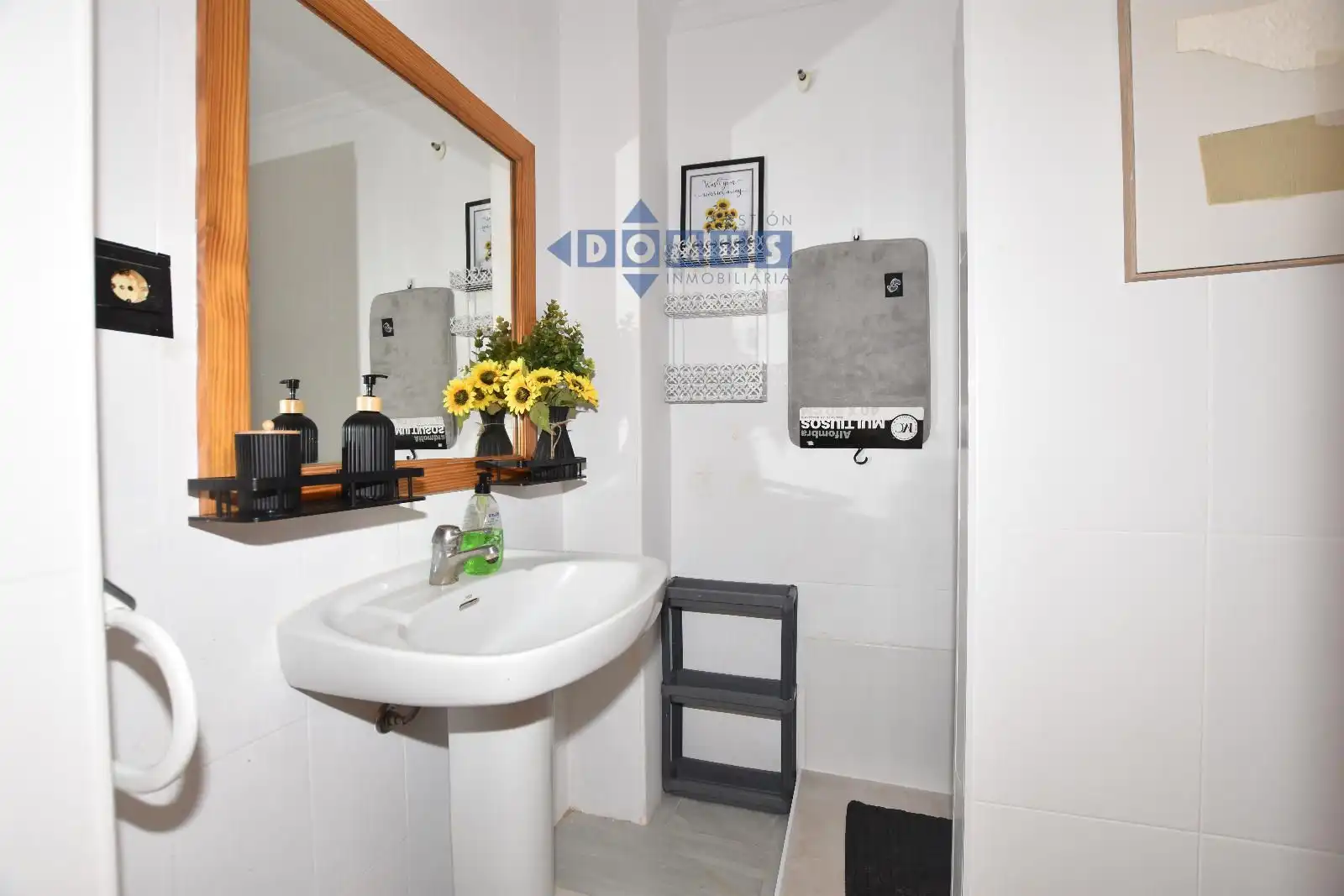 Bathroom of Apartments for rent in Centro