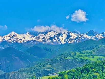 Außenansicht von Residential zum verkauf in Cangas de Onís