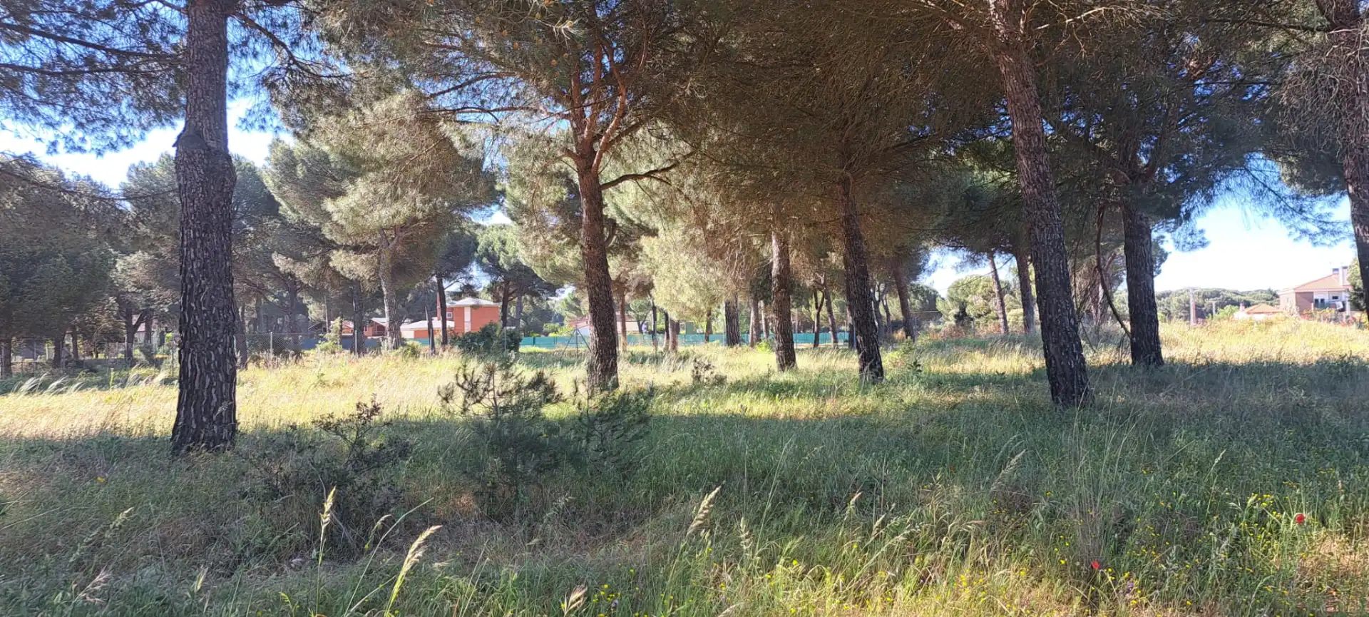 Terreni e lotti in vendita a Camino Cabezada 1, imagen 22