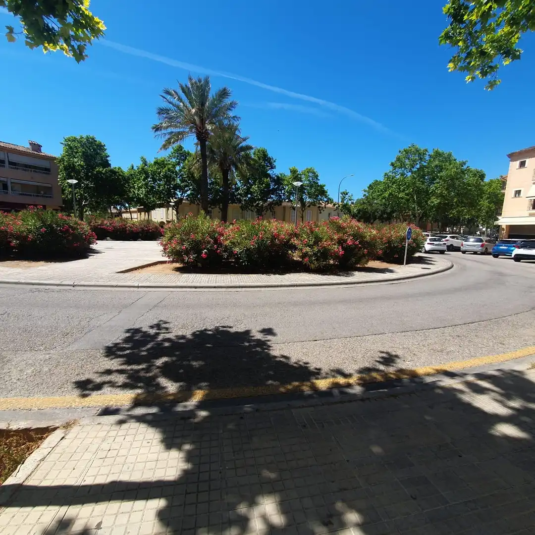 Local de alquiler en  Palma de Mallorca con Aire acondicionado y Amueblado