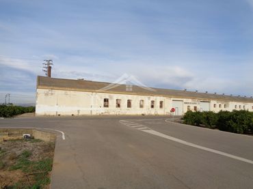 Terreno rustico in vendita a Algemesí