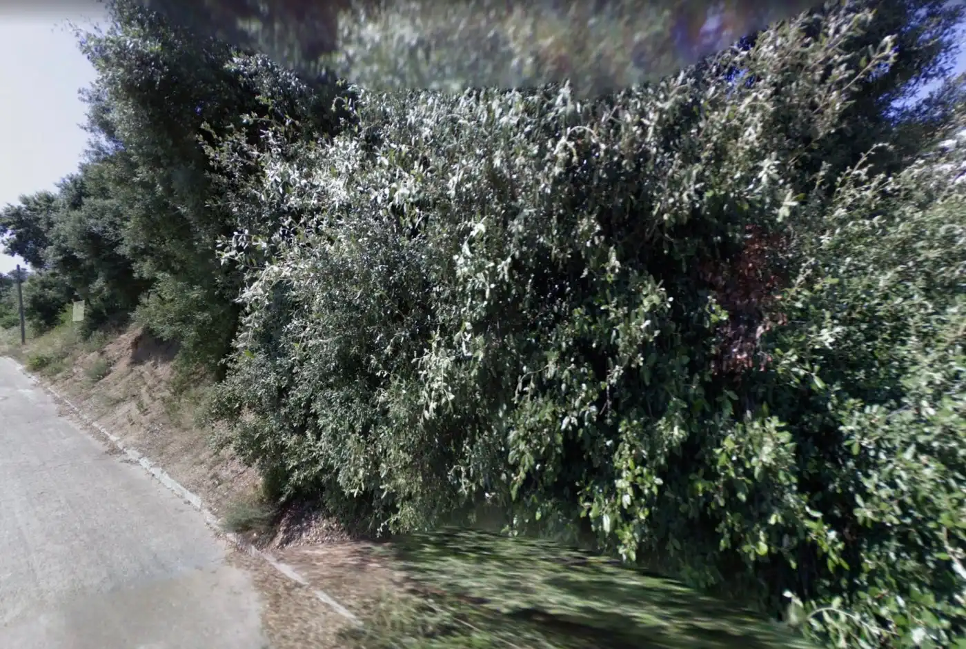 Lands and plots for sale in Calle MARGALLO, imagen 2