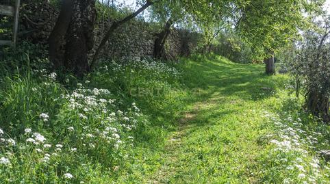 Photo 2 of House or chalet for sale in Diseminado Castelar, 54, 06300 Zafra, Badajoz, Spa, 54, Zafra, Badajoz