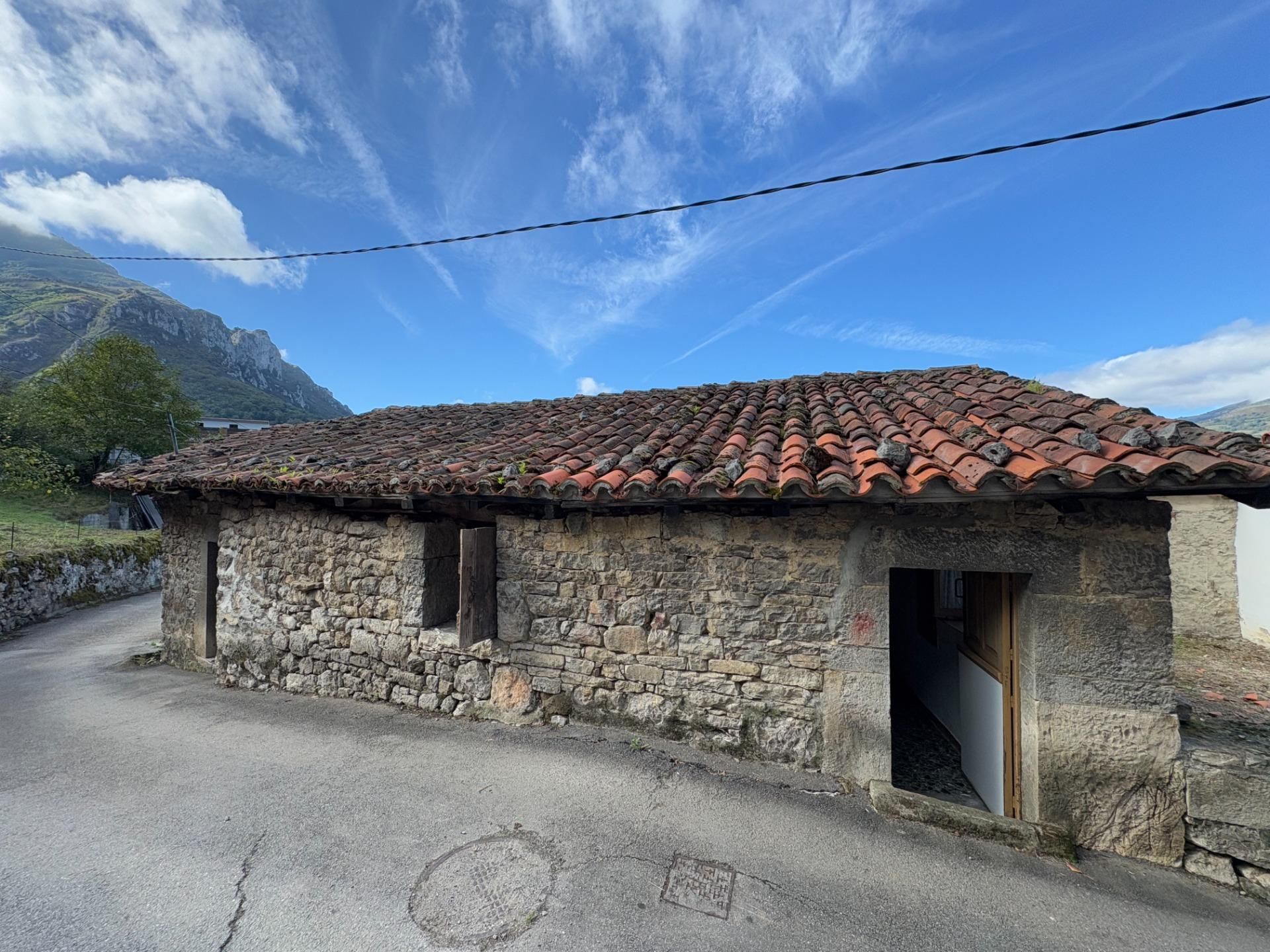 Vista exterior de Casa o xalet en venda en Proaza amb Jardí privat