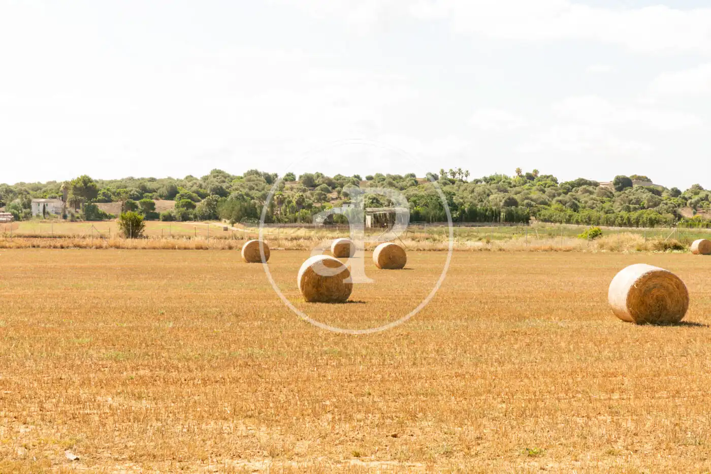 Casa o xalet en venda en  Palma de Mallorca amb Aire condicionat, Calefacció i Jardí privat