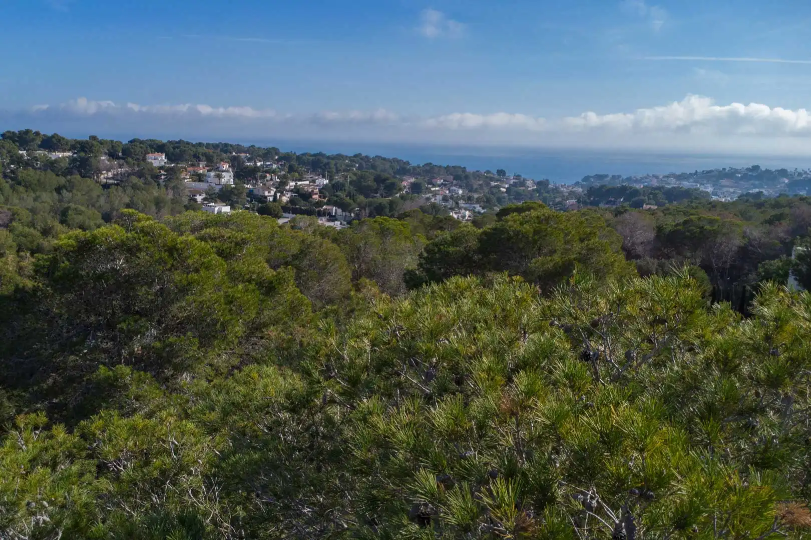 Terrenys i solars en venda a La Fustera, imagen 6