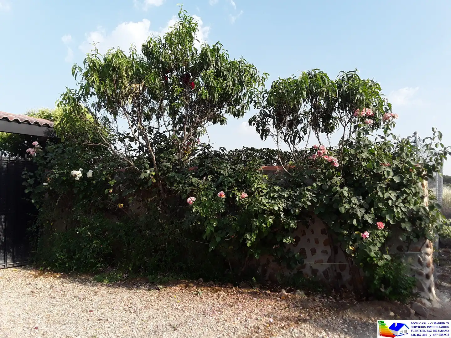 Casa o chalet en venta en Fuente El Saz de Jarama con Aire acondicionado, Calefacción y Jardín privado