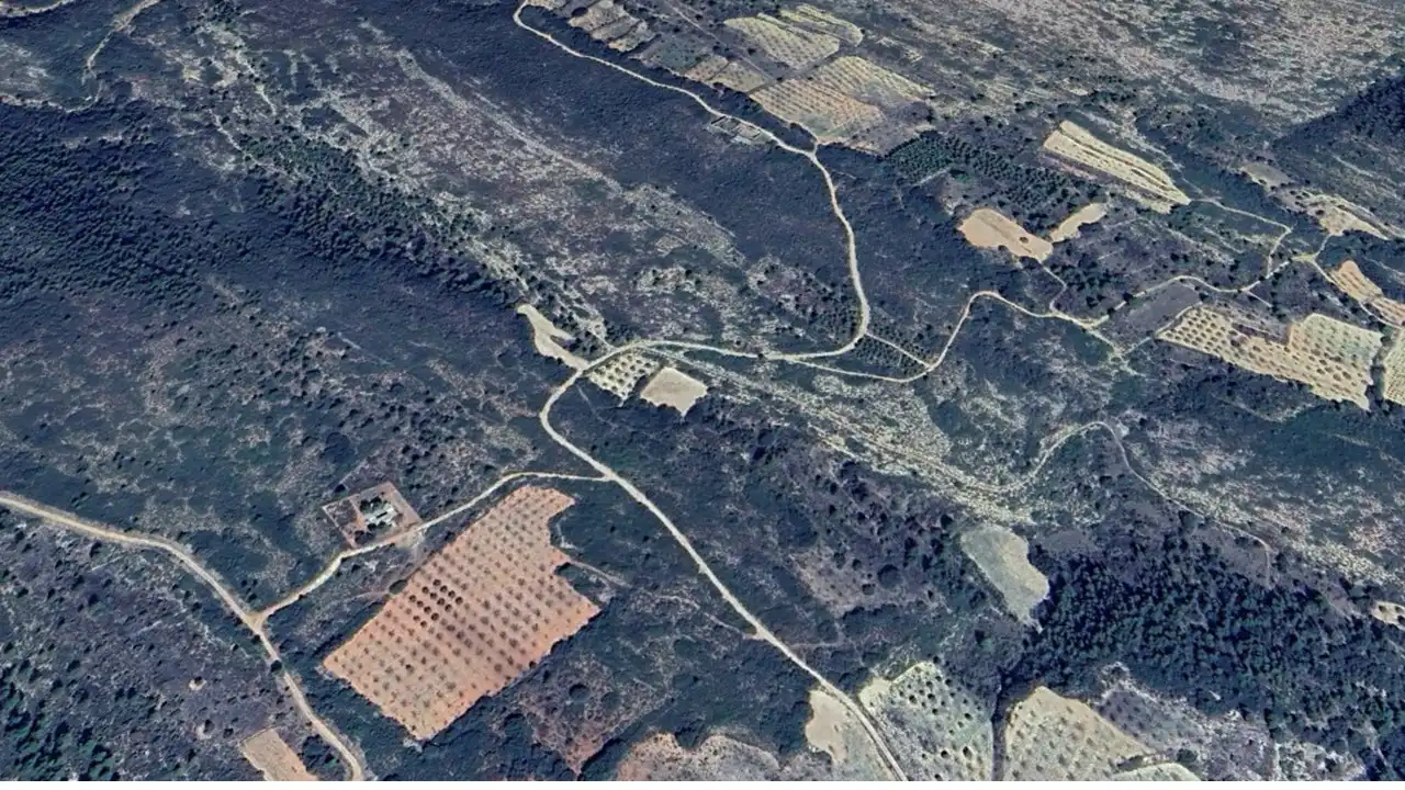 Terreny rústic en venda a Pt Los Barrancos, imagen 6