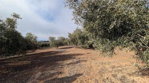 Finca Rúst. en venta en Ventorros de San José., imagen 2