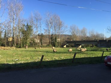 Residential land for sale in Santa María de Cayón