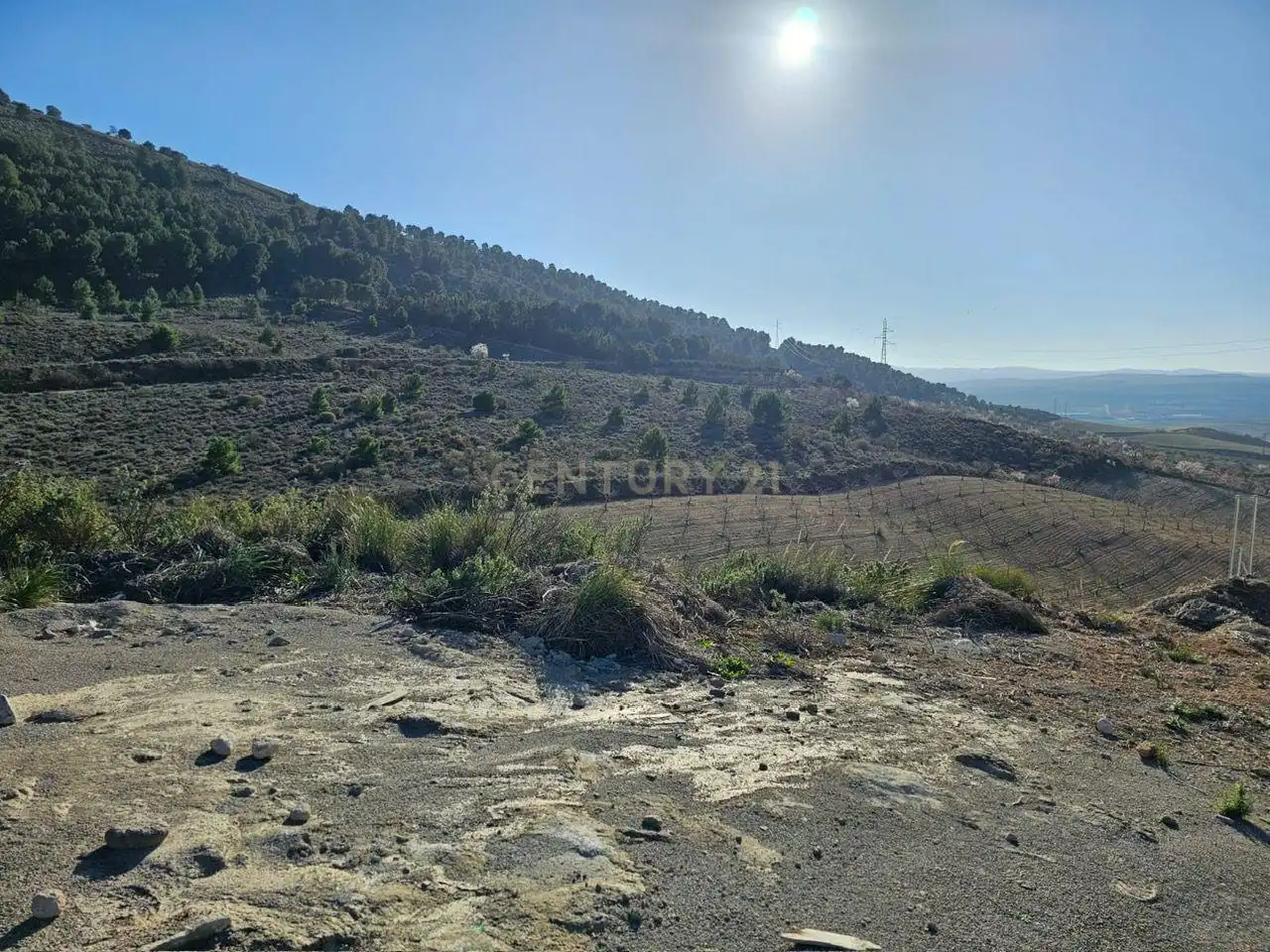 Residential land for sale in Calle Veleta s/n