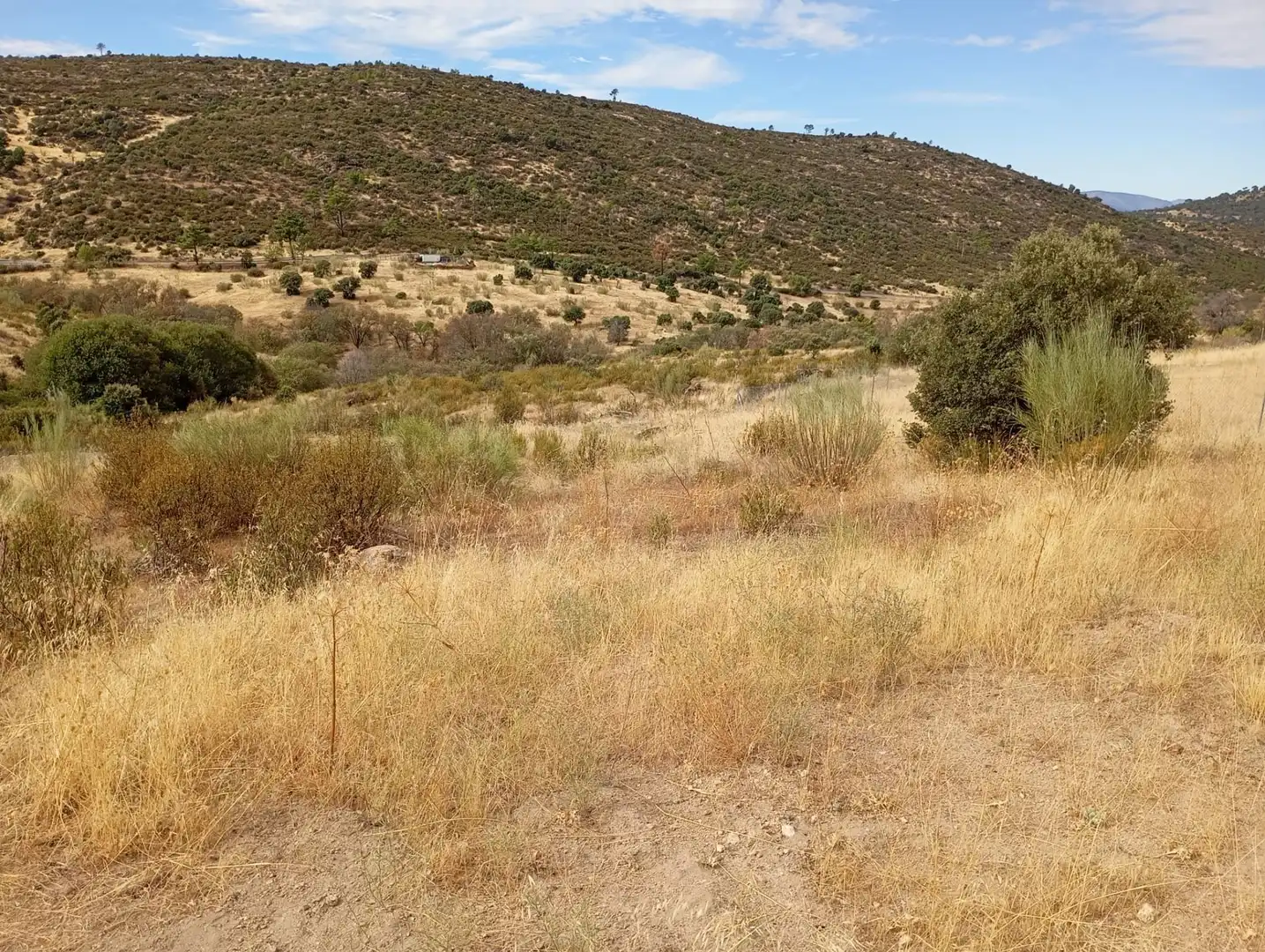 Terrenos y solares en venta en Robledo de Chavela, imagen 19