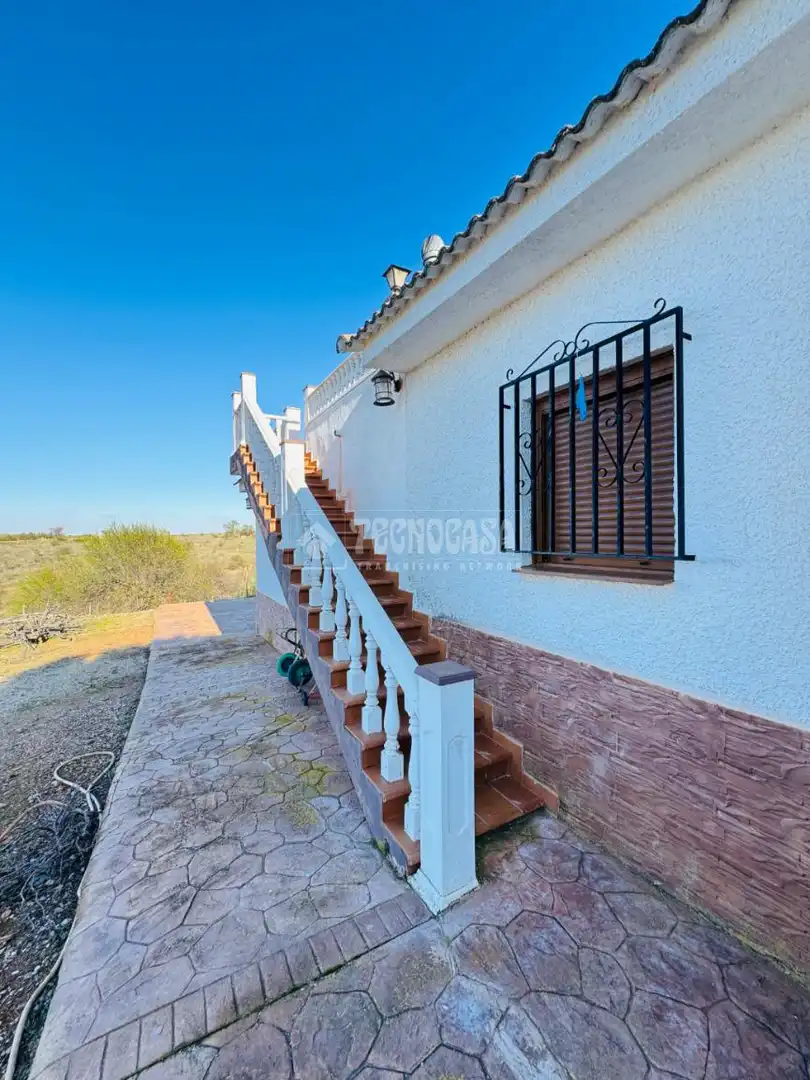 Vista exterior de Casa o xalet en venda en Mora amb Calefacció, Jardí privat i Piscina