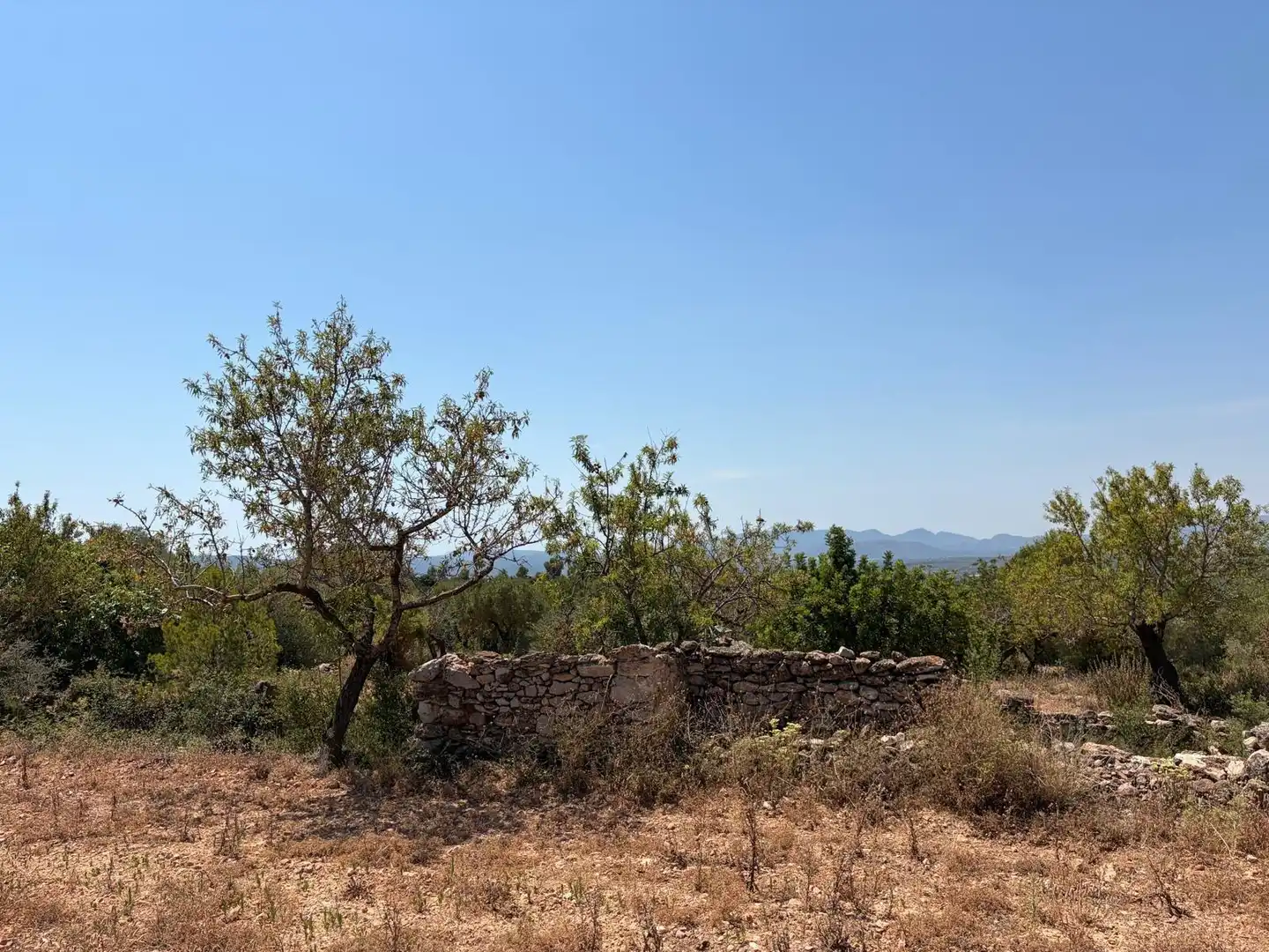 Terreny rústic en venda a Sierra Engarcerán, imagen 6