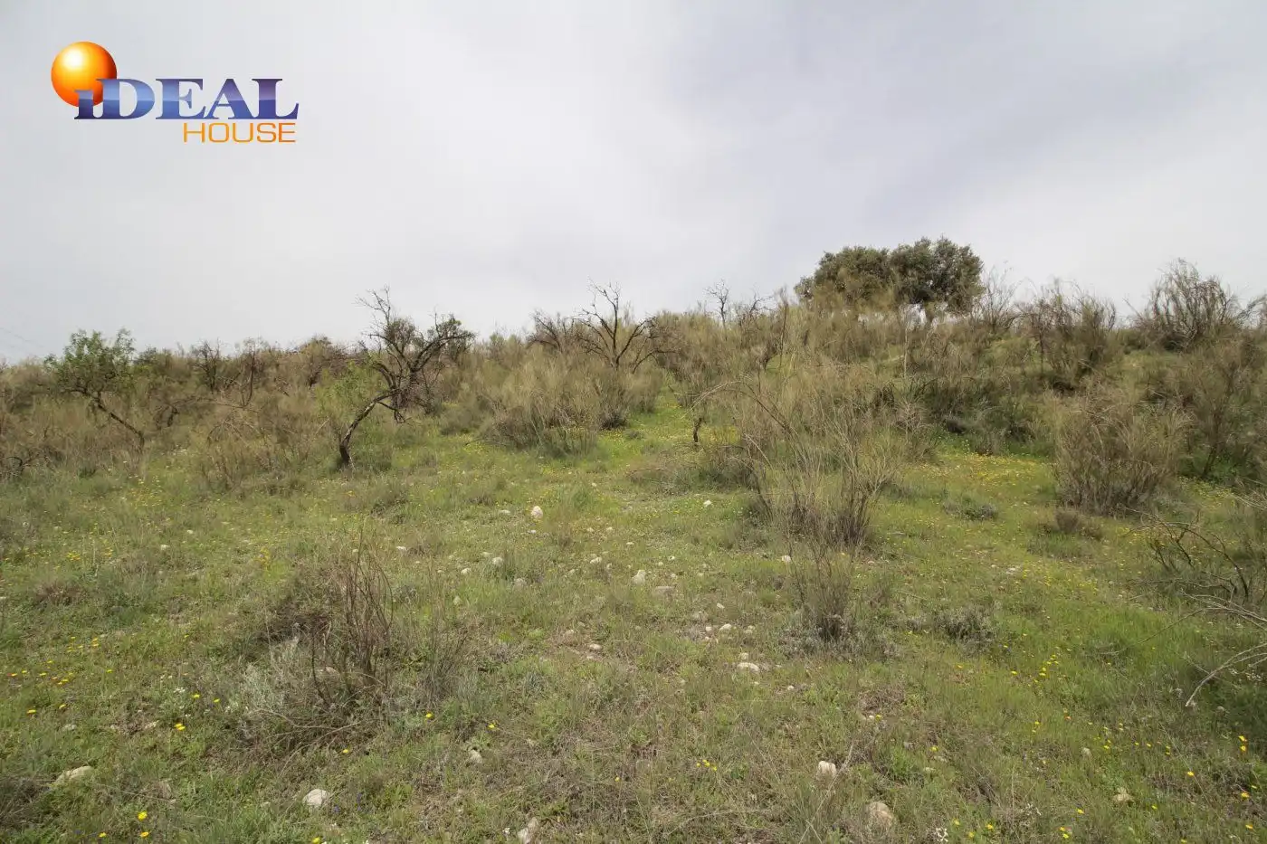 Country homes for sale in Víznar